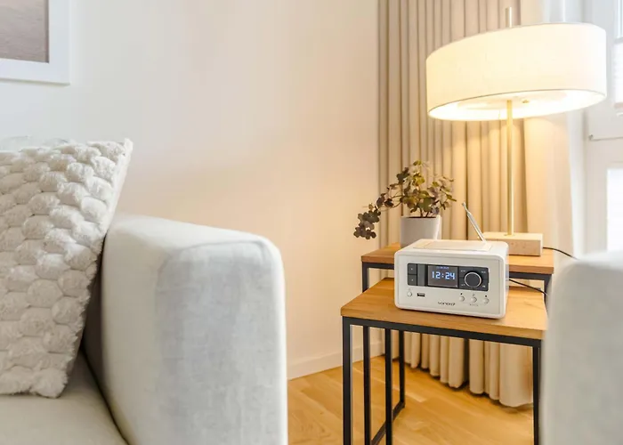 Seeschwalbe Im Koe8 كابلن