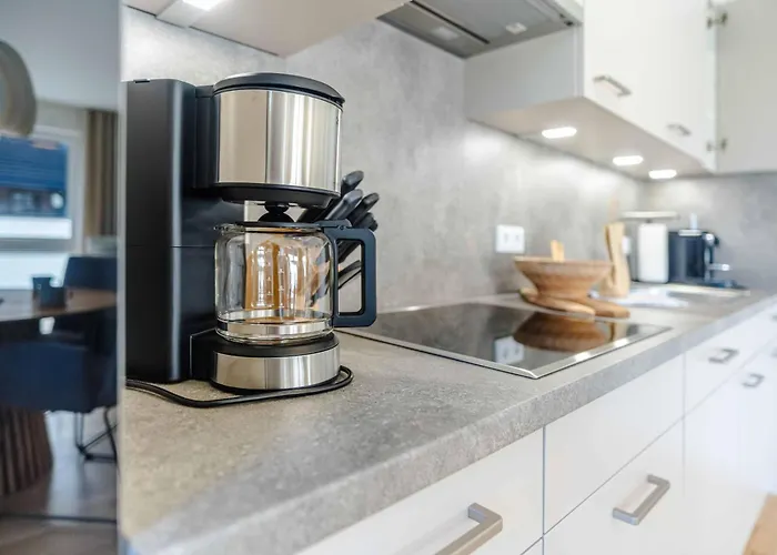 Seeschwalbe Im Koe8 *